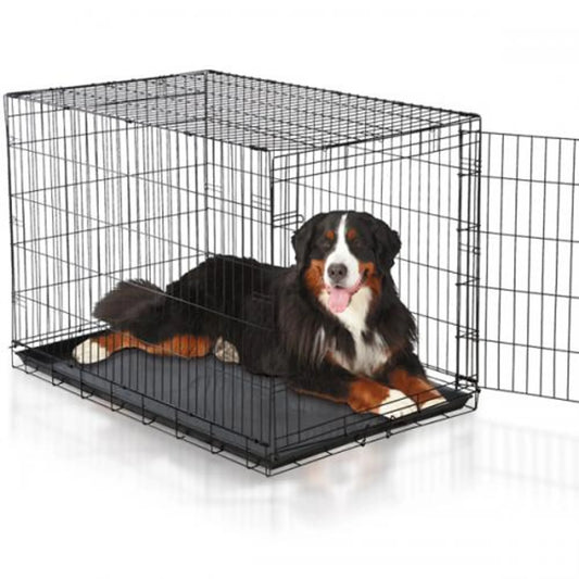 Easy Access Wire Dog Crate – Secure & Budget-Friendly Containment