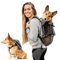 Load image into Gallery viewer, Doggy Dooties® Walk-On™ Backpack Carrier with Harness & Storage Bag