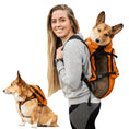 Load image into Gallery viewer, Doggy Dooties® Walk-On™ Backpack Carrier with Harness & Storage Bag