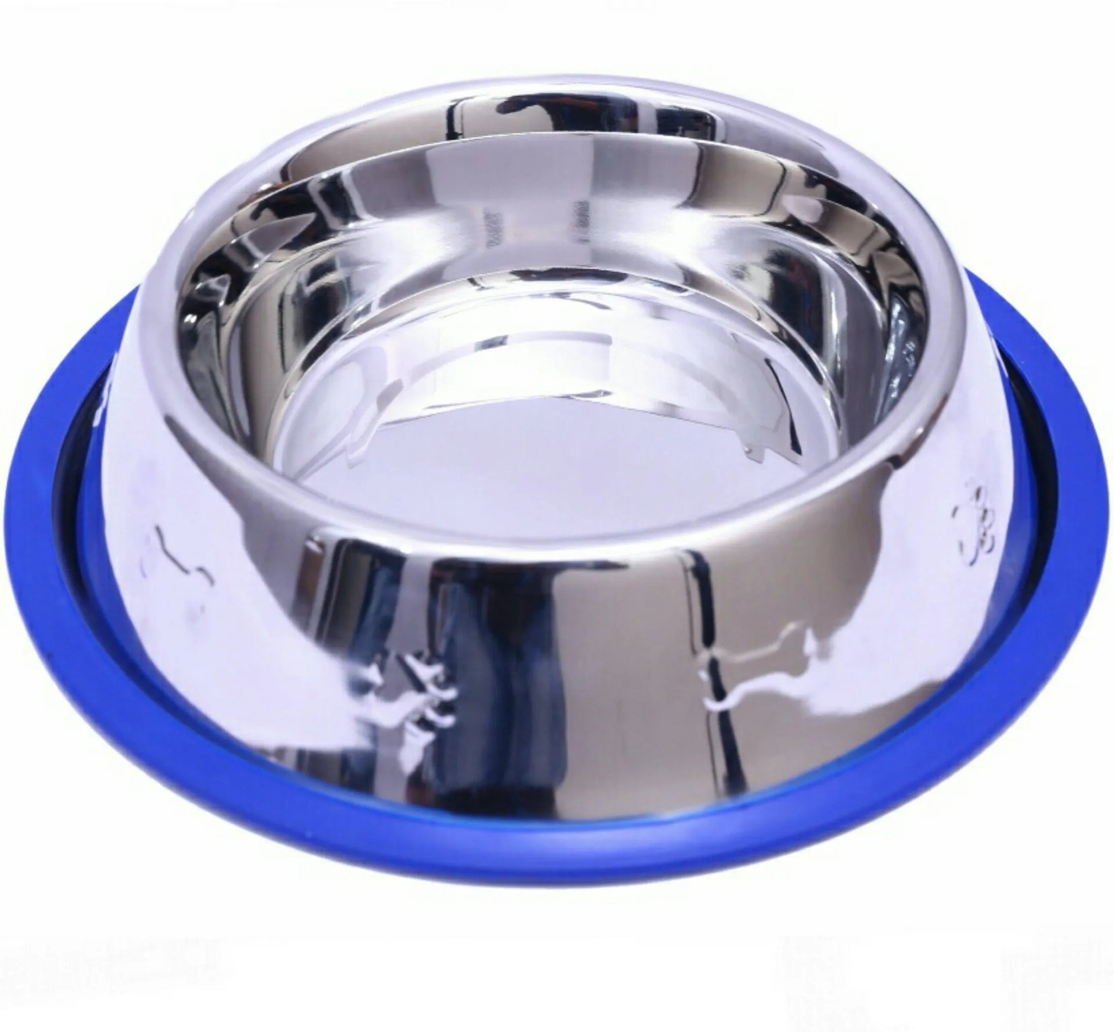 Non-Slip Etched Stainless Steel Dog Bowls with Blue Silicone Base – Durable, Stylish & Easy to Clean
