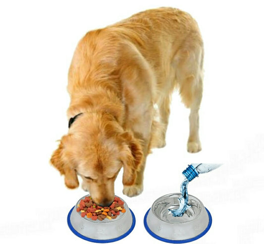 Non-Slip Etched Stainless Steel Dog Bowls with Blue Silicone Base – Durable, Stylish & Easy to Clean
