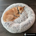 Load image into Gallery viewer, Mr. Peanut's OrthoPlush Travel Dog Bed – Portable, Plush Comfort for On-the-Go Pups