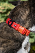 Load image into Gallery viewer, Adventure-Ready Waterproof Dog Collar – Scarlet Red