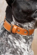 Load image into Gallery viewer, Sierra Sunrise™ Vegan Leather Dog Collar – Elegant, Cruelty-Free Style