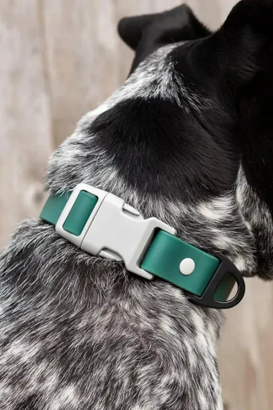 Evergreen Waterproof Dog Collar – Durable & Dirt-Resistant