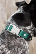 Load image into Gallery viewer, Evergreen Waterproof Dog Collar – Durable & Dirt-Resistant
