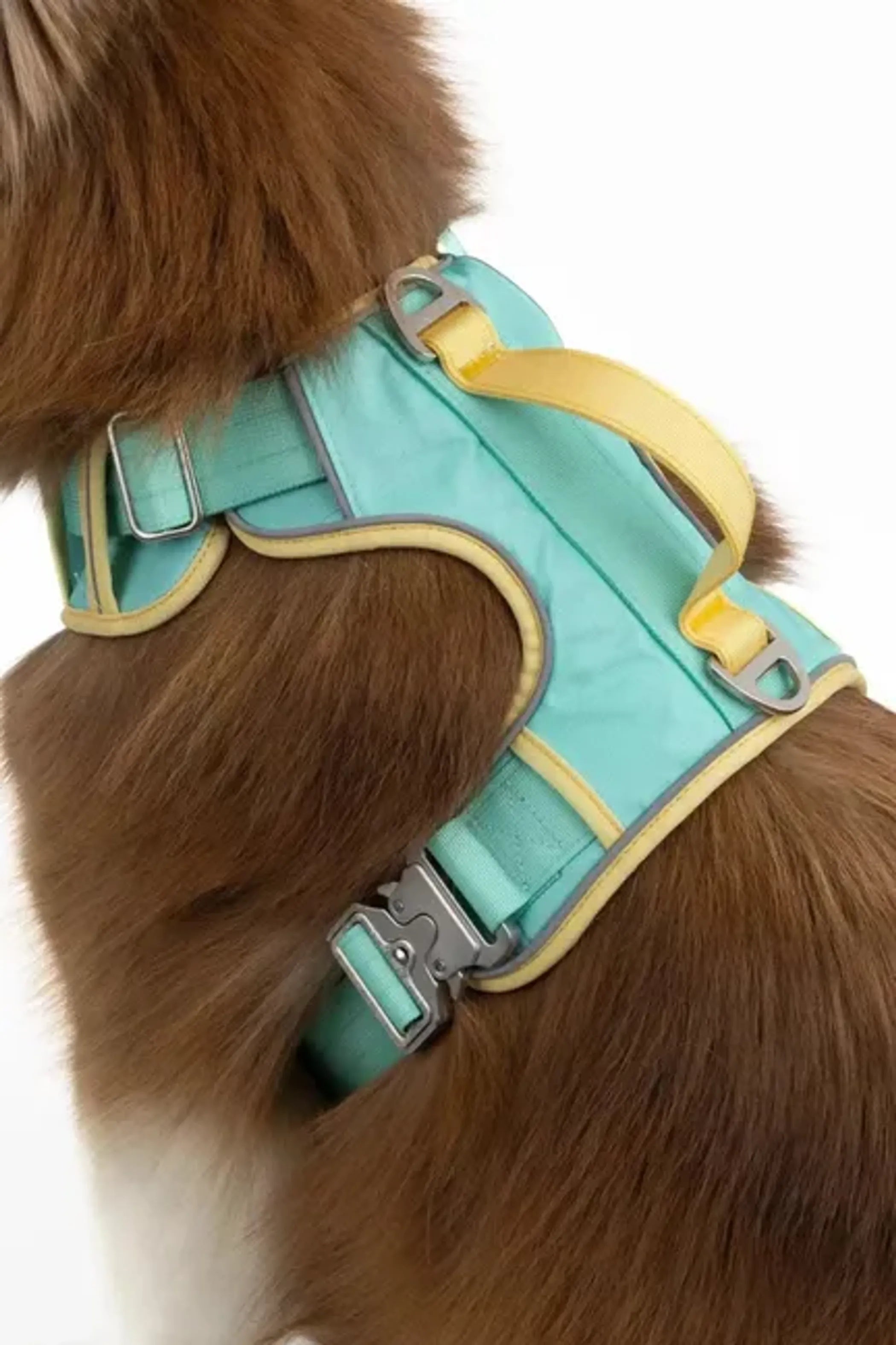 Island Vibes Dog Harness – Secure, Adjustable, and Adventure-Ready