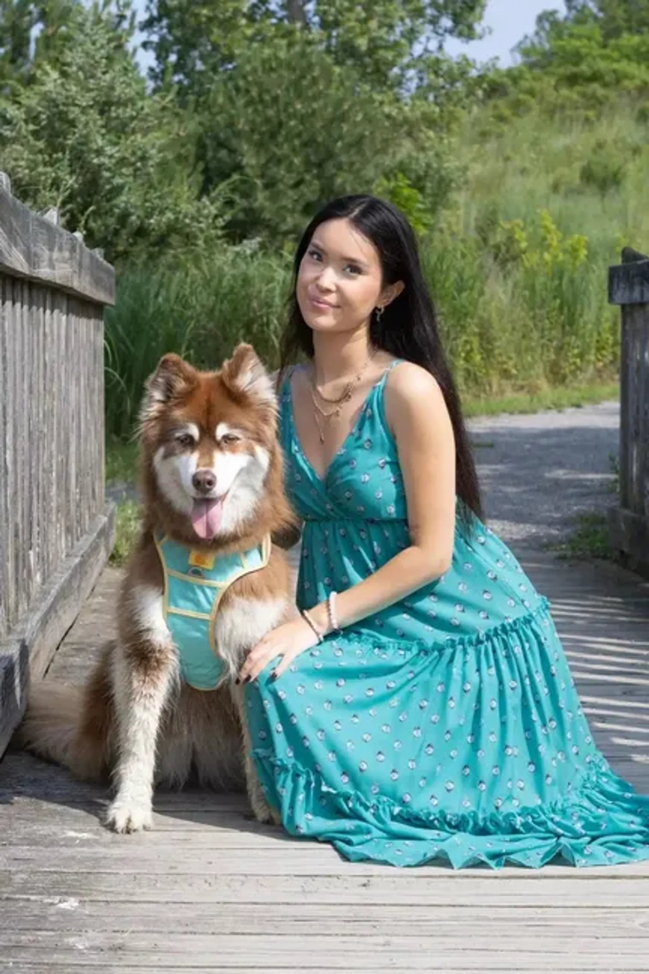 Island Vibes Dog Harness – Secure, Adjustable, and Adventure-Ready