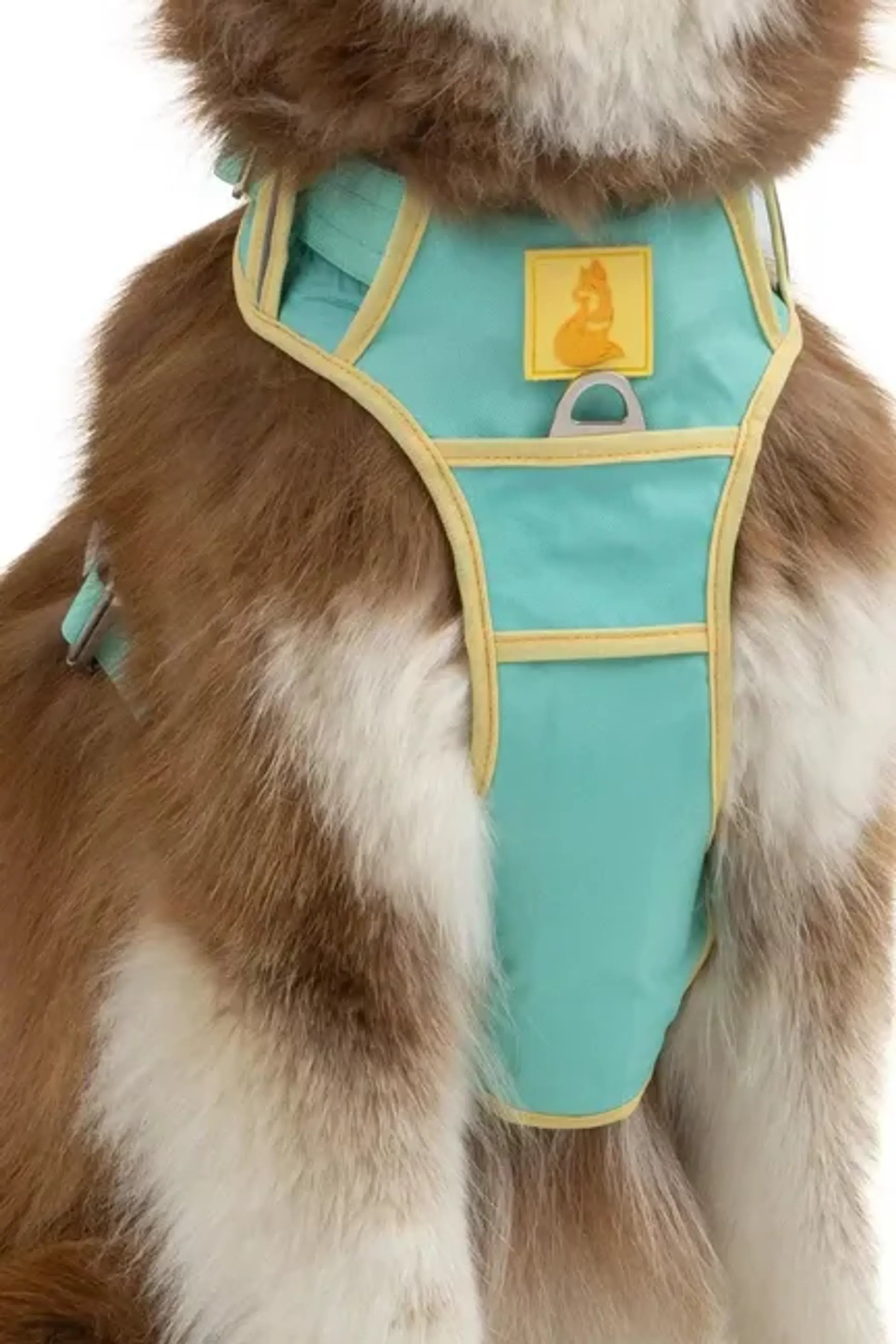 Island Vibes Dog Harness – Secure, Adjustable, and Adventure-Ready