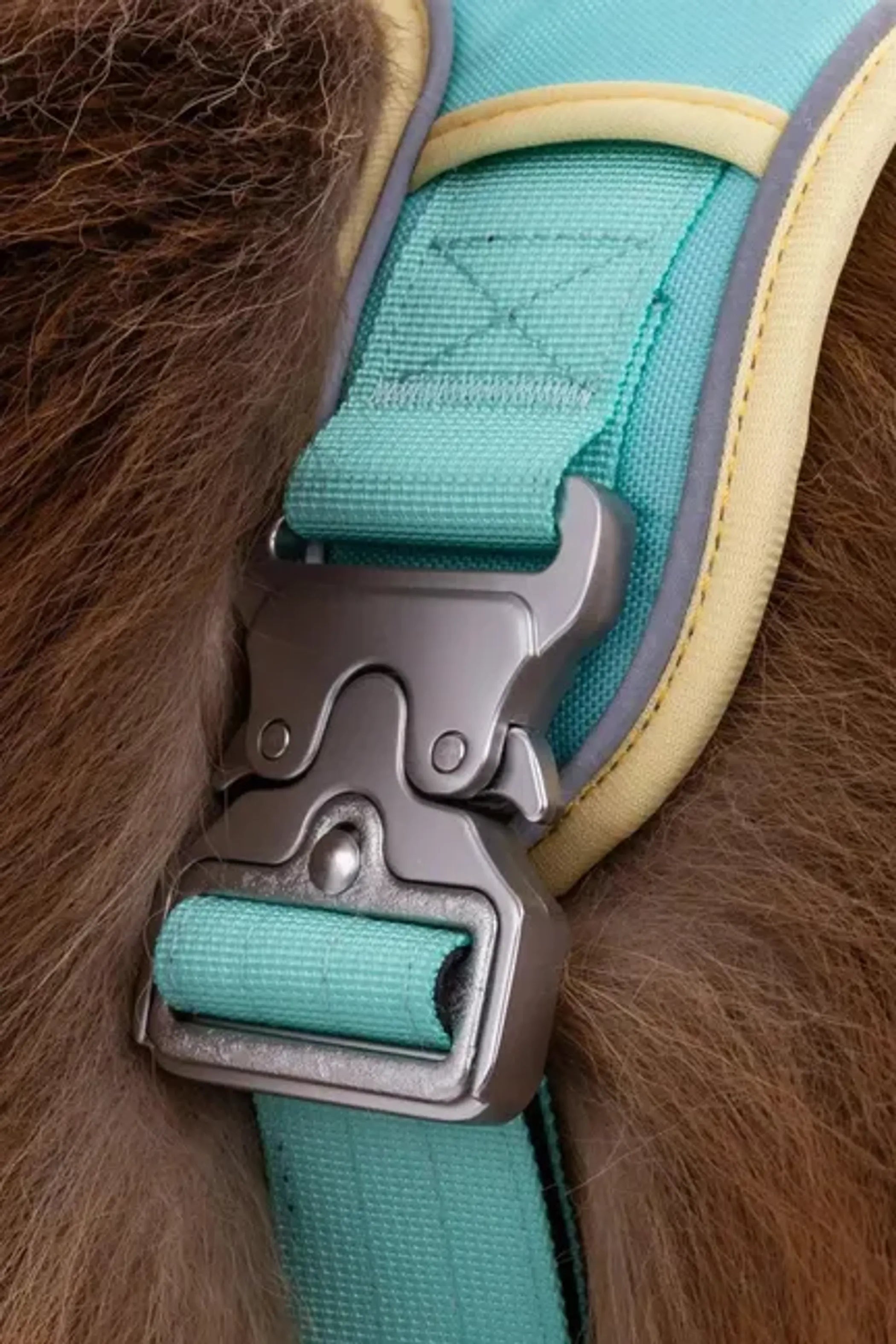 Island Vibes Dog Harness – Secure, Adjustable, and Adventure-Ready