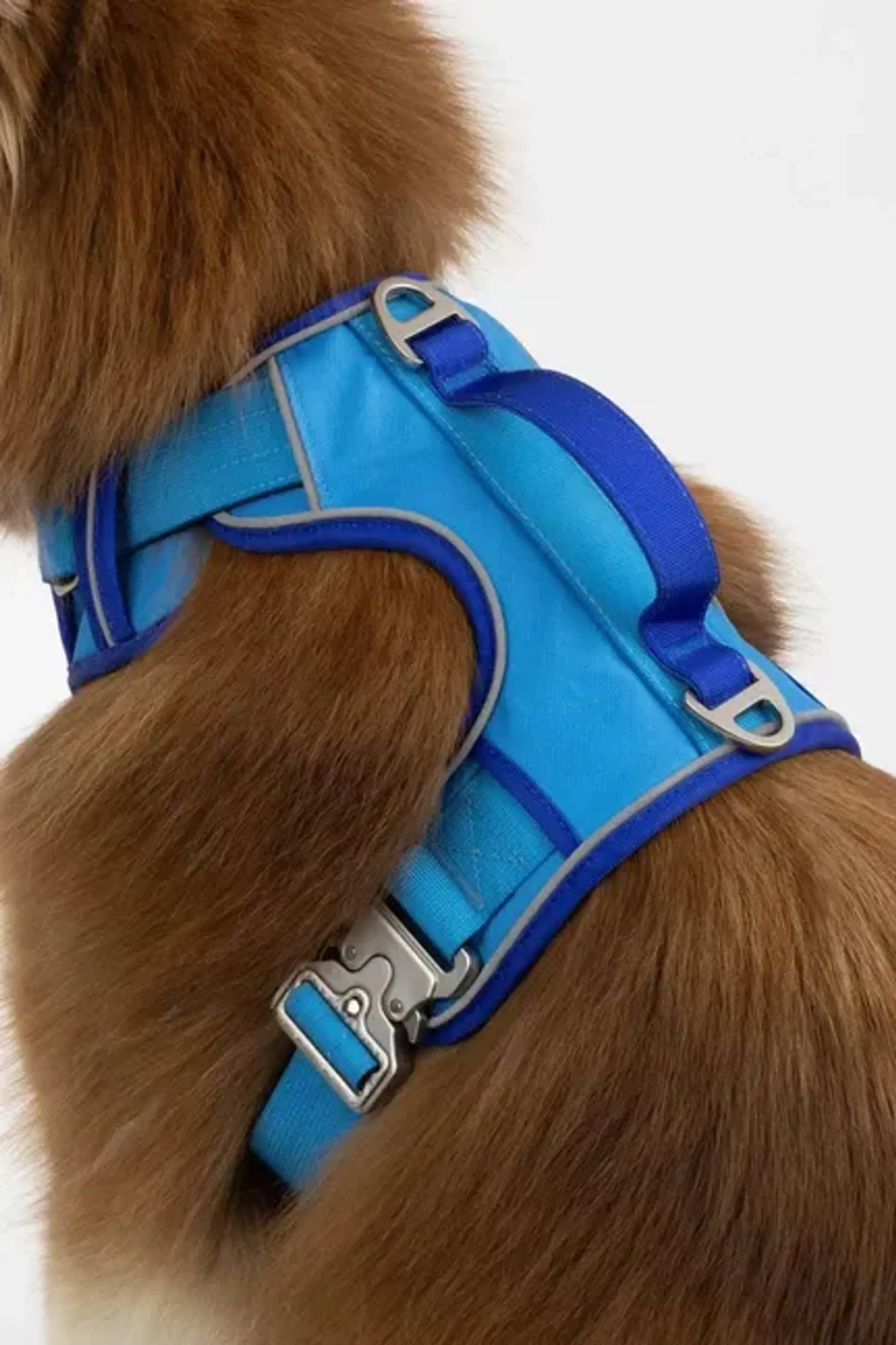 Dockside Adventures Dog Harness – Secure Fit with Heavy-Duty Aluminum Clips