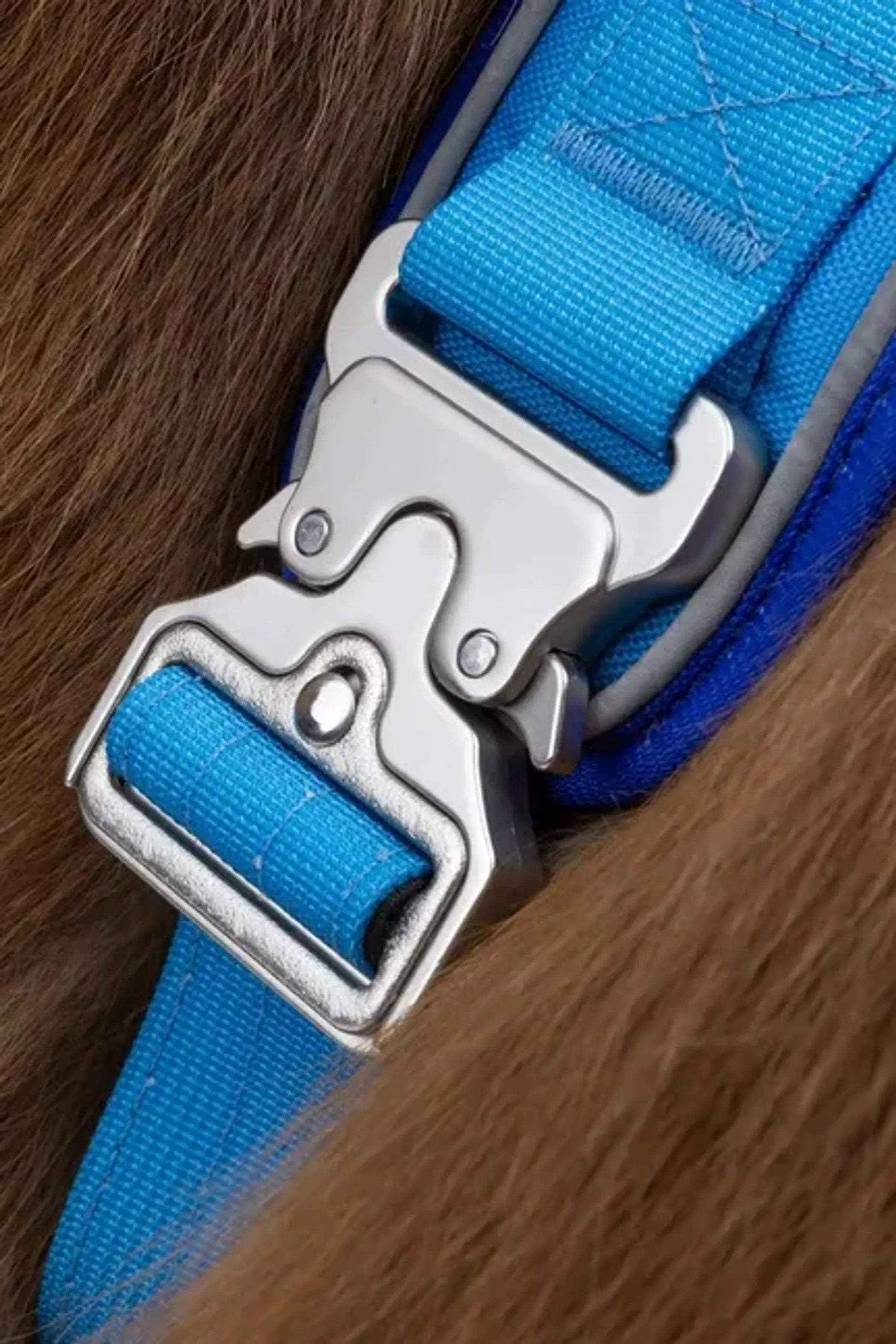 Dockside Adventures Dog Harness – Secure Fit with Heavy-Duty Aluminum Clips