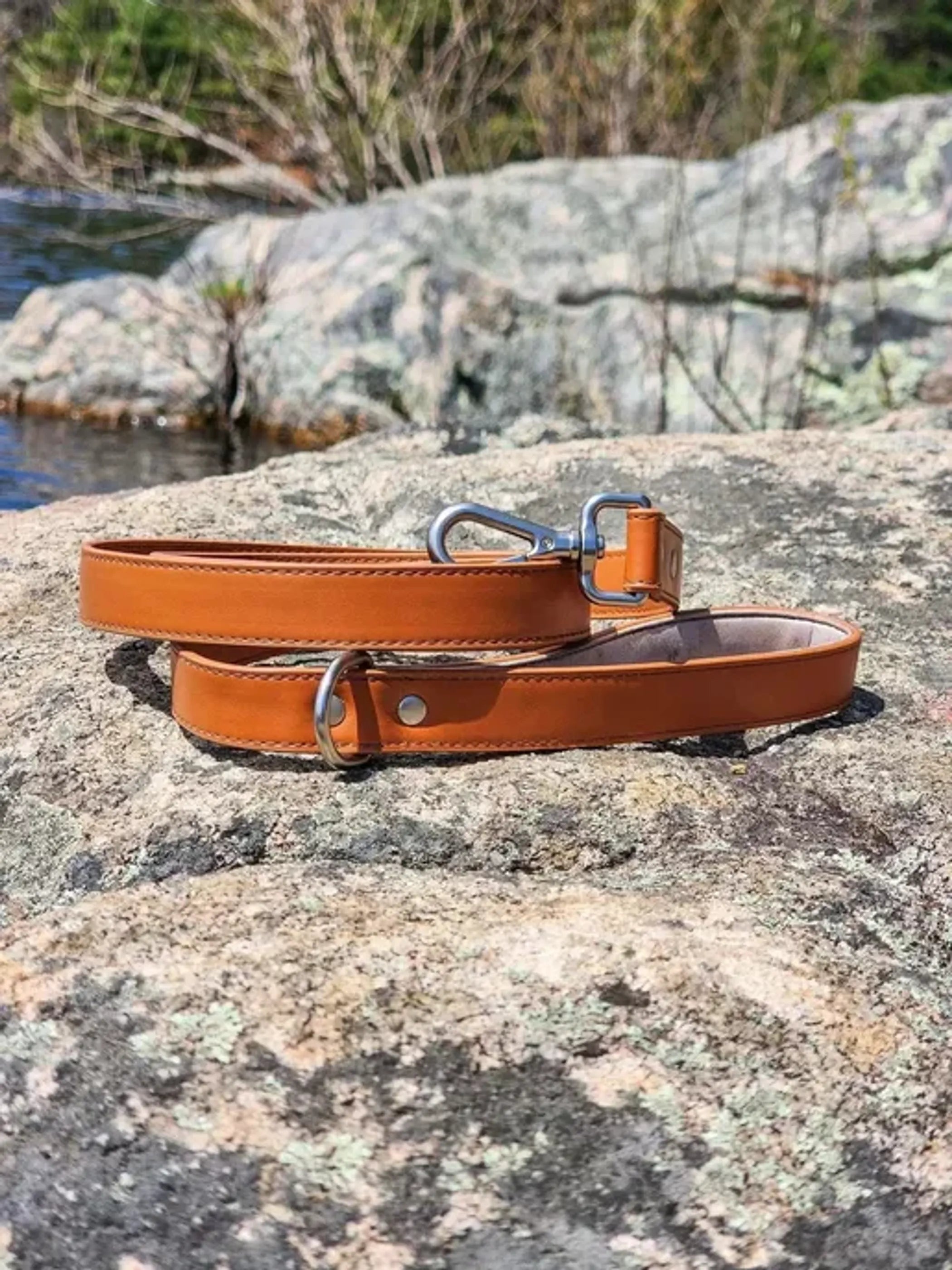 Sierra Sunrise Vegan Leather Dog Leash – Chic, Durable & Photo-Ready for Everyday Walks