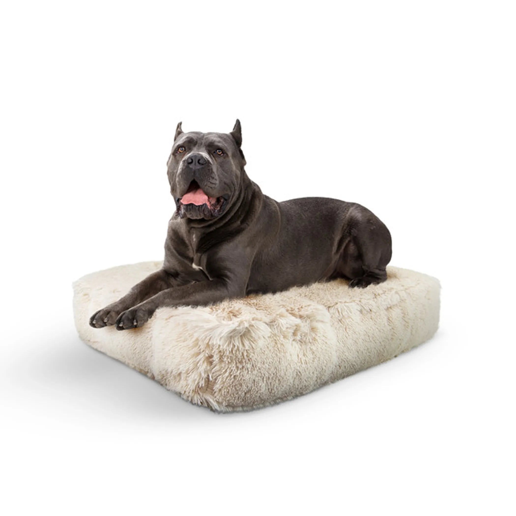 Doggy Dooties® Frosted Willow™ Rectangle Bed – Ultra-Soft, Washable Dog Bed