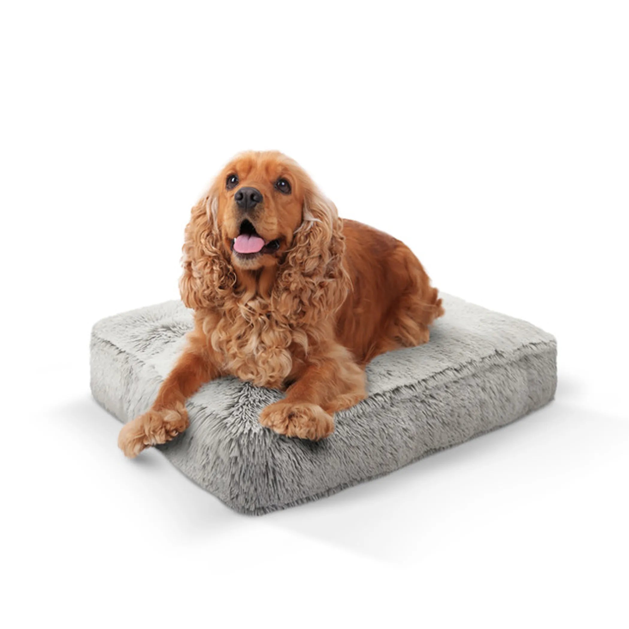 Doggy Dooties® Frosted Willow™ Rectangle Bed – Ultra-Soft, Washable Dog Bed
