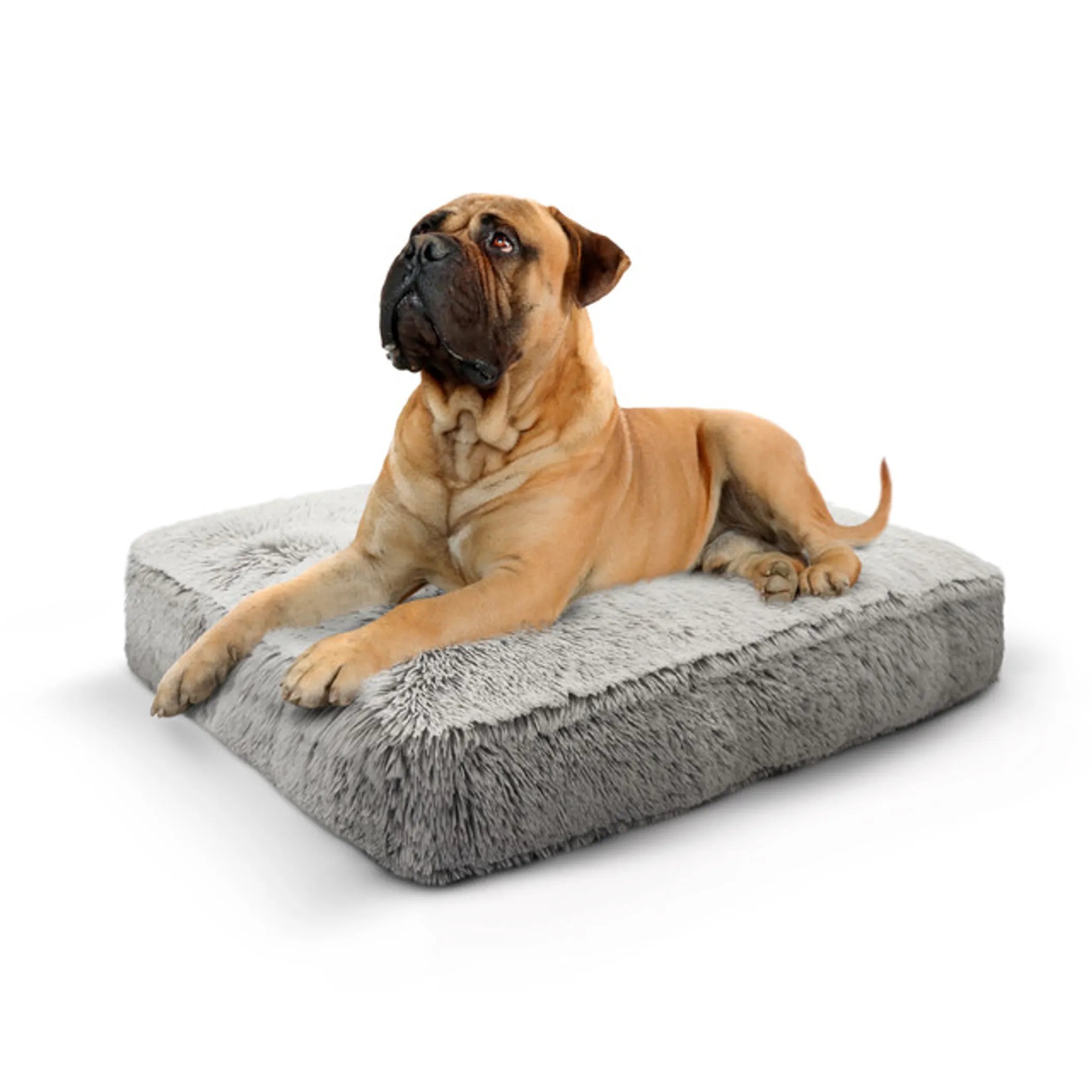 Doggy Dooties® Frosted Willow™ Rectangle Bed – Ultra-Soft, Washable Dog Bed