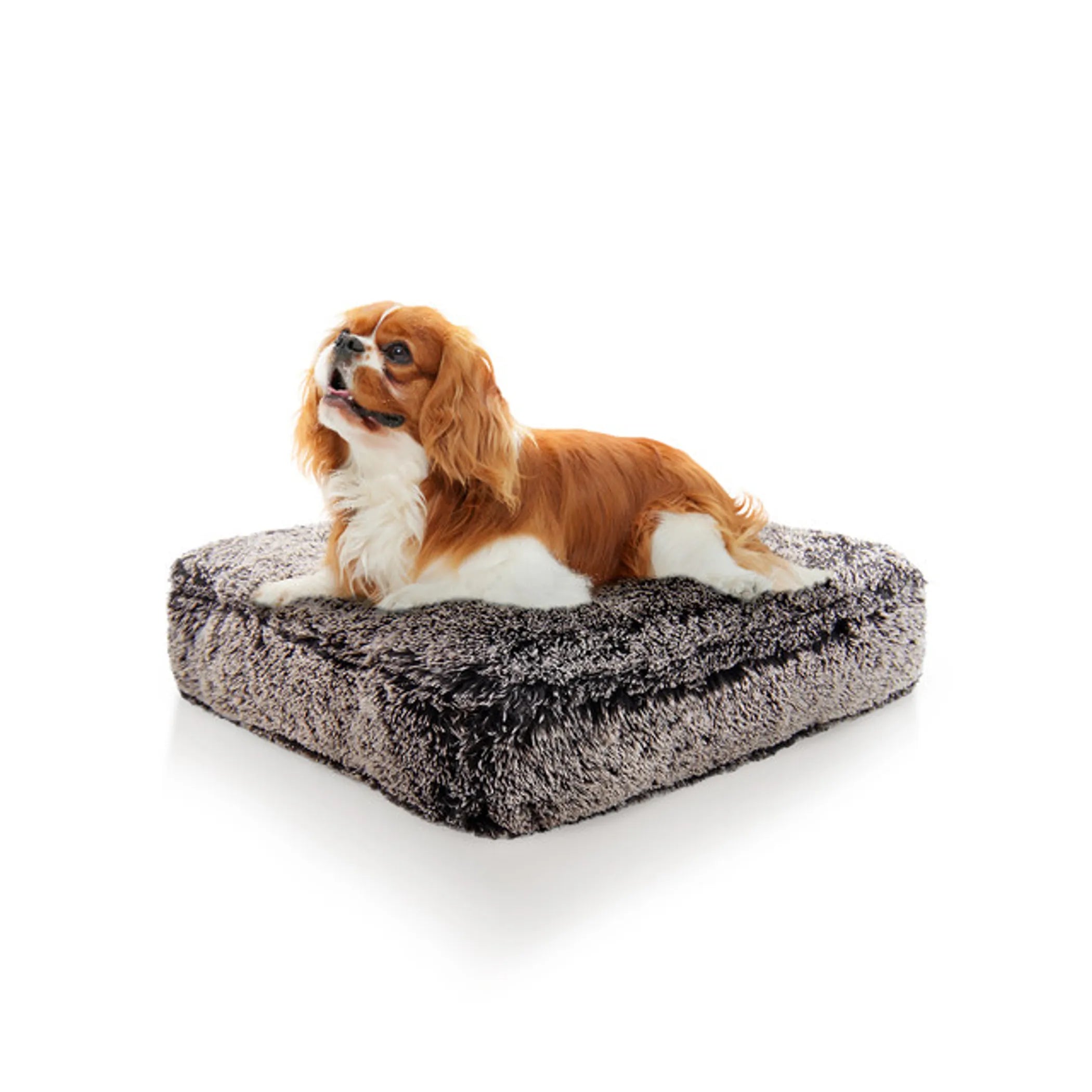 Doggy Dooties® Frosted Willow™ Rectangle Bed – Ultra-Soft, Washable Dog Bed