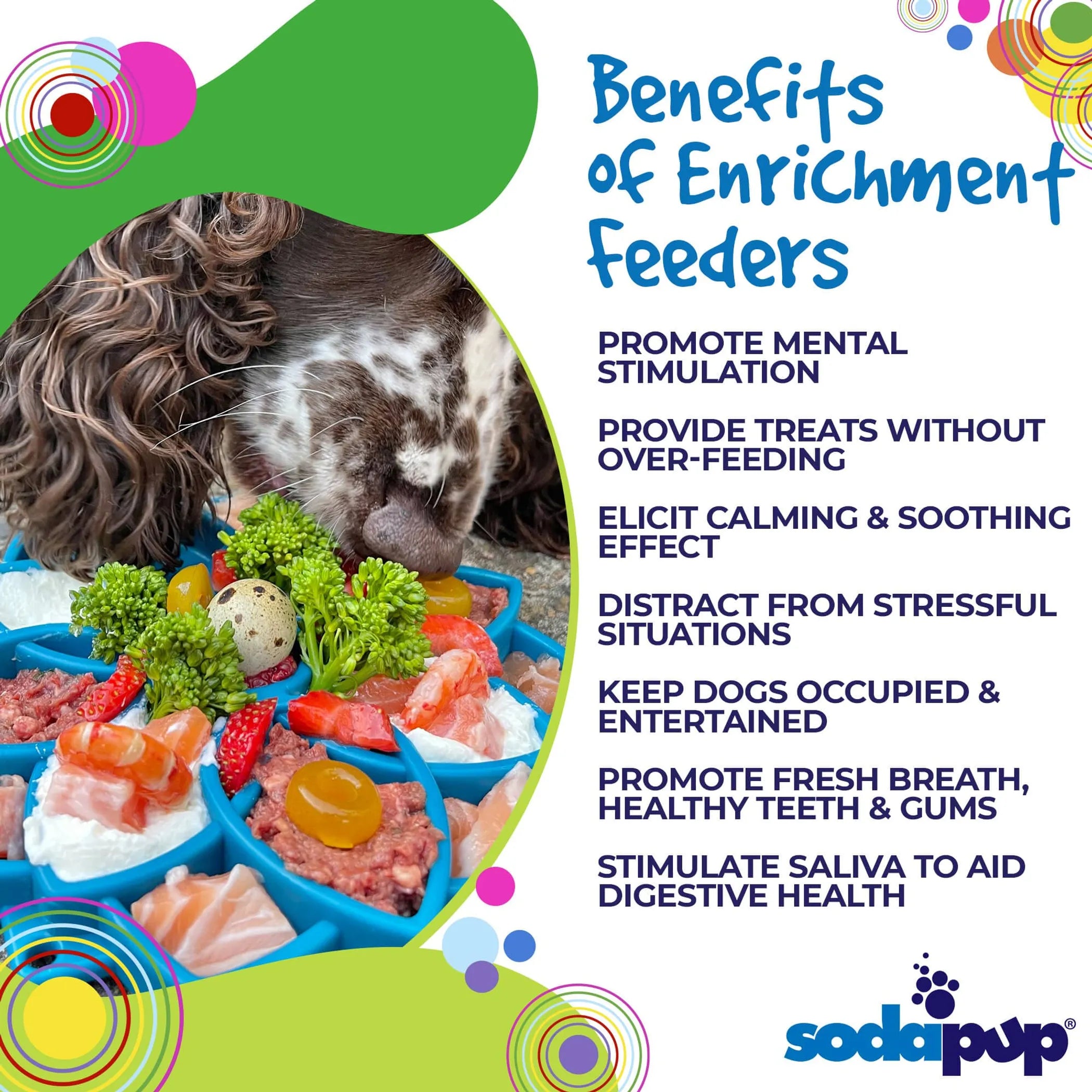 Dog Enrichment eTray – Mandala Design