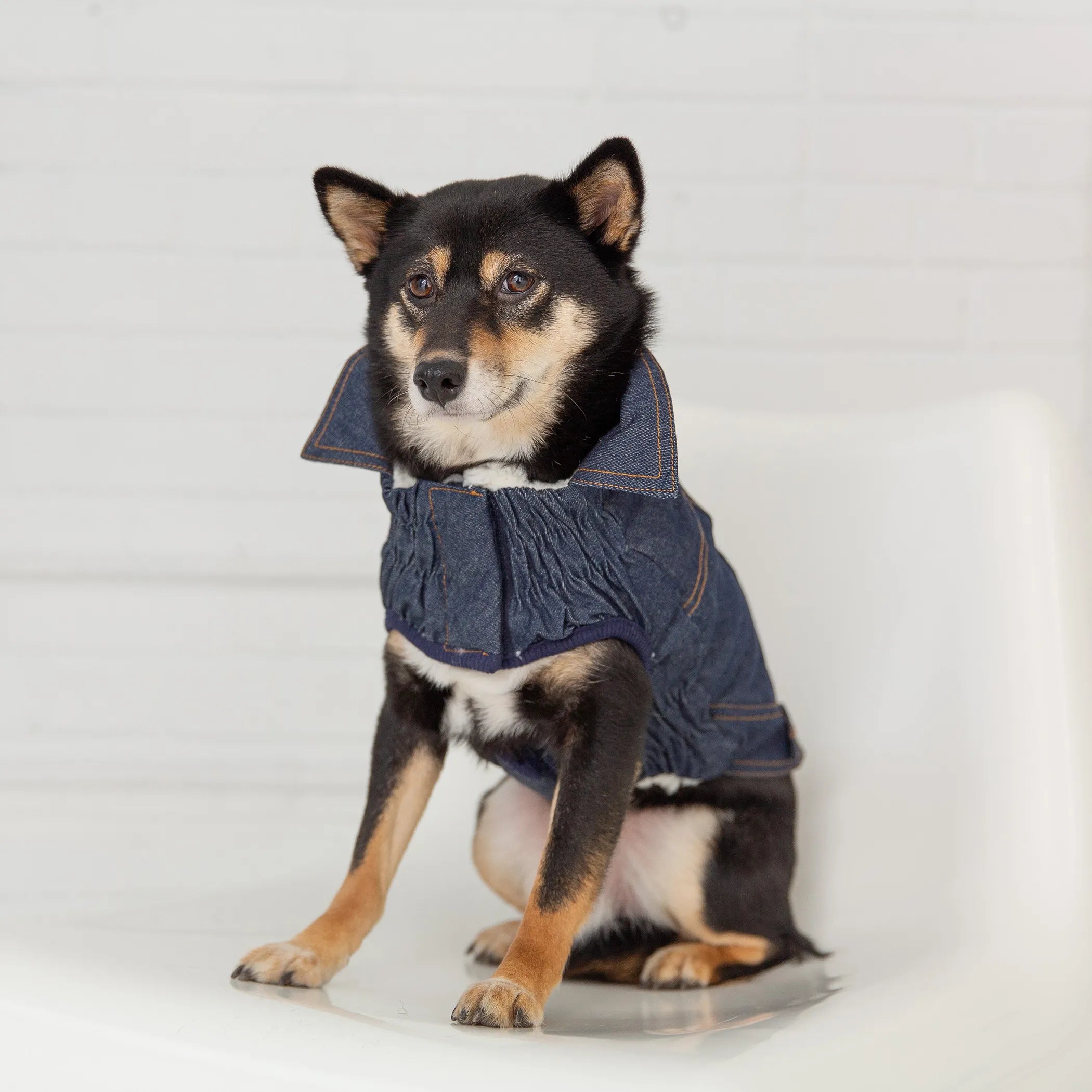 Doggy Dooties® StreetStyle Denim Jacket – Elasto-Fit™ + Sherpa-Lined Warmth