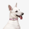 Load image into Gallery viewer, All Eyes On Me Waterproof Dog Collar – Crystal Ring Design for Stylish & Active Pets