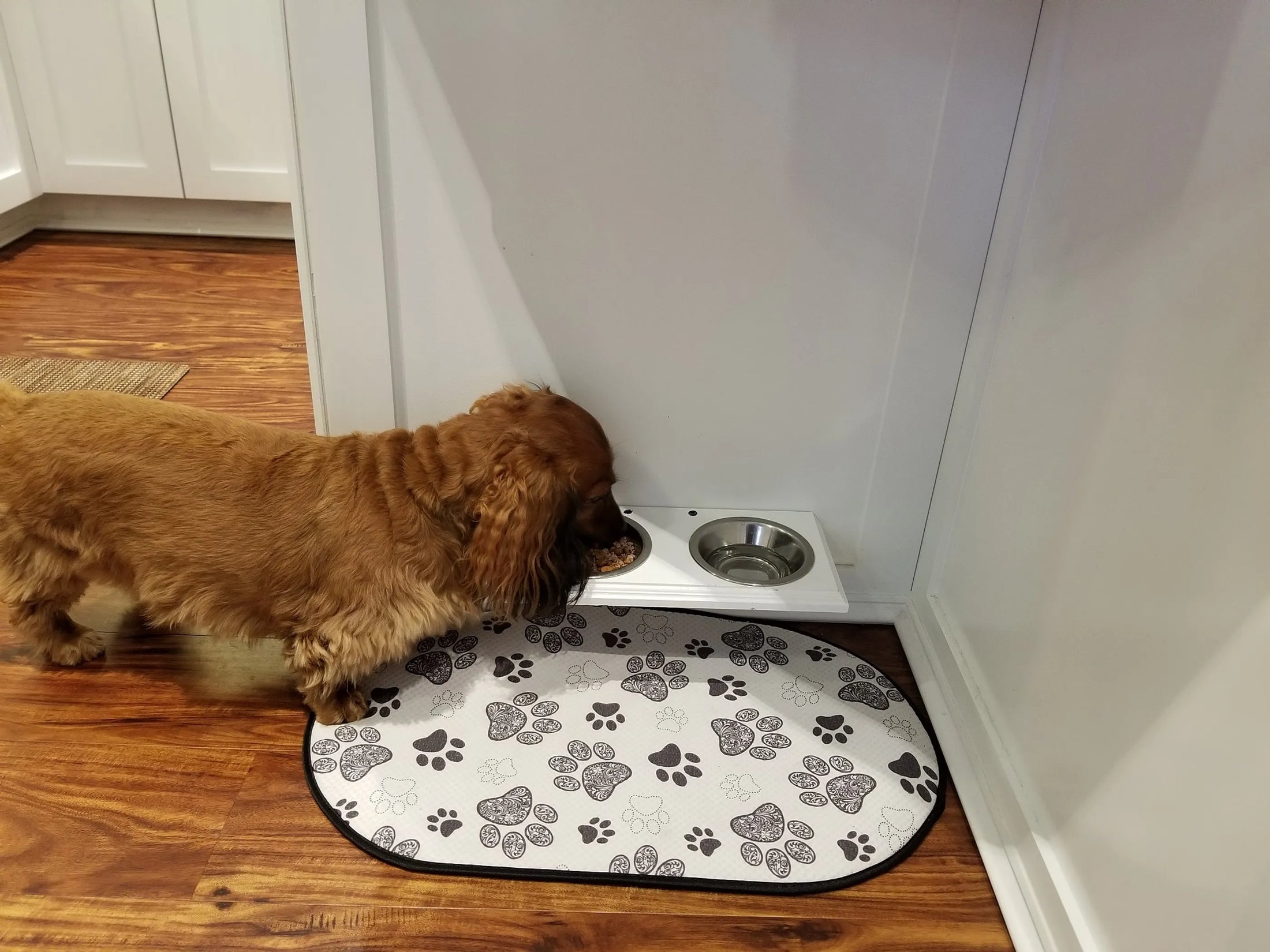 Champion Stainless Steel Pet Food Bowl with Non-Slip Silicone Base - Pack Of: 1