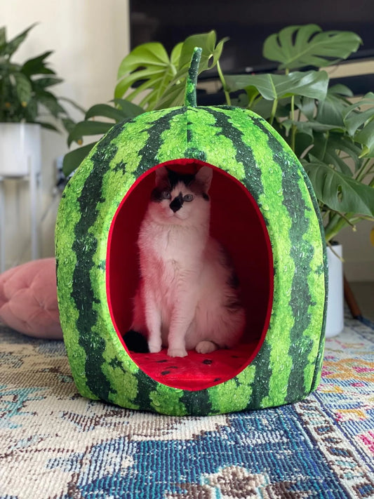 Watermelon Pet Bed – Fun Covered Hideaway for Small Pets