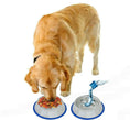 Load image into Gallery viewer, Non-Slip Etched Stainless Steel Dog Bowls with Blue Silicone Base – Durable, Stylish & Easy to Clean
