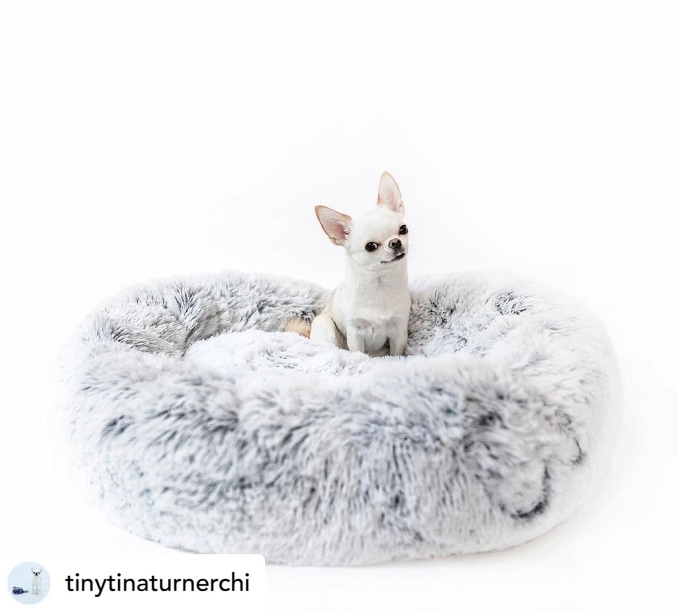 Mr. Peanut's OrthoPlush Travel Dog Bed – Portable, Plush Comfort for On-the-Go Pups