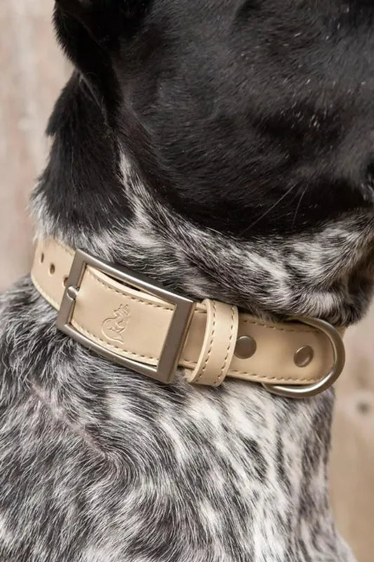 Champagne Vegan Leather Dog Collar – Durable, Stylish & Adjustable