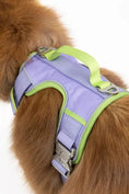 Load image into Gallery viewer, Lavender Garden Dog Harness – Adjustable, Comfortable, and Nature-Inspired
