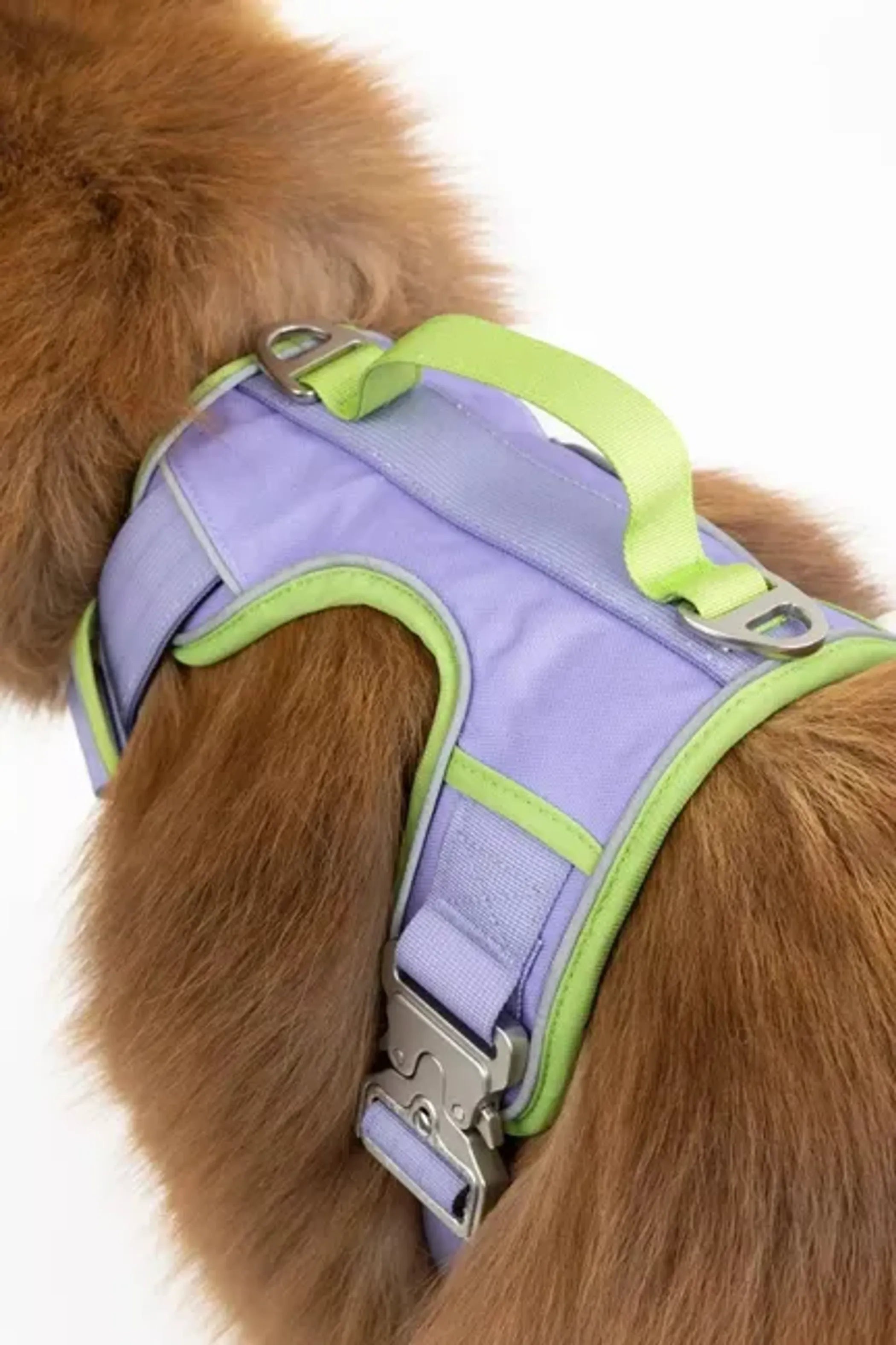 Lavender Garden Dog Harness – Adjustable, Comfortable, and Nature-Inspired