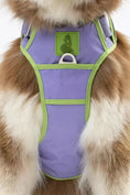Load image into Gallery viewer, Lavender Garden Dog Harness – Adjustable, Comfortable, and Nature-Inspired
