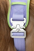Load image into Gallery viewer, Lavender Garden Dog Harness – Adjustable, Comfortable, and Nature-Inspired
