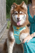 Load image into Gallery viewer, Island Vibes Dog Harness – Secure, Adjustable, and Adventure-Ready
