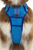 Load image into Gallery viewer, Dockside Adventures Dog Harness – Secure Fit with Heavy-Duty Aluminum Clips
