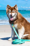 Load image into Gallery viewer, Island Vibes Waterproof Dog Leash – Odor-Resistant with Locking Carabiner Clip

