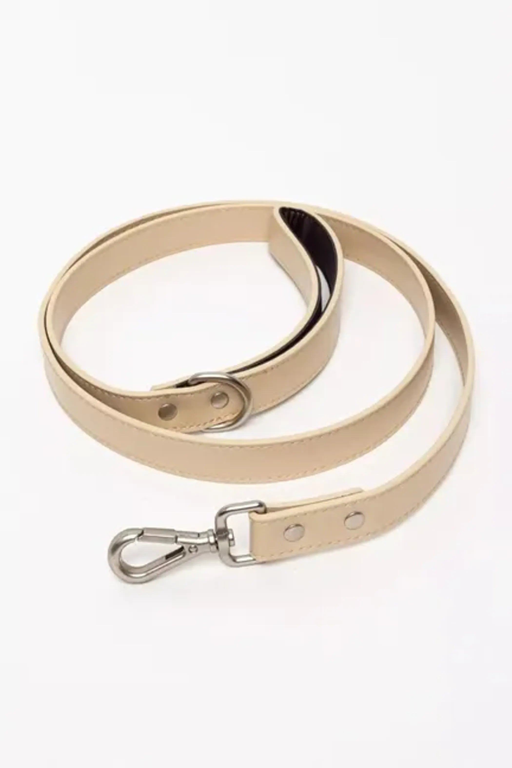 Champagne Fizz Vegan Leather Dog Leash – Chic & Cruelty-Free with Gold Hardware