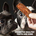 Load image into Gallery viewer, Chicken Jerky Dog Treats
