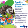 Load image into Gallery viewer, Dog Enrichment eTray – Mandala Design
