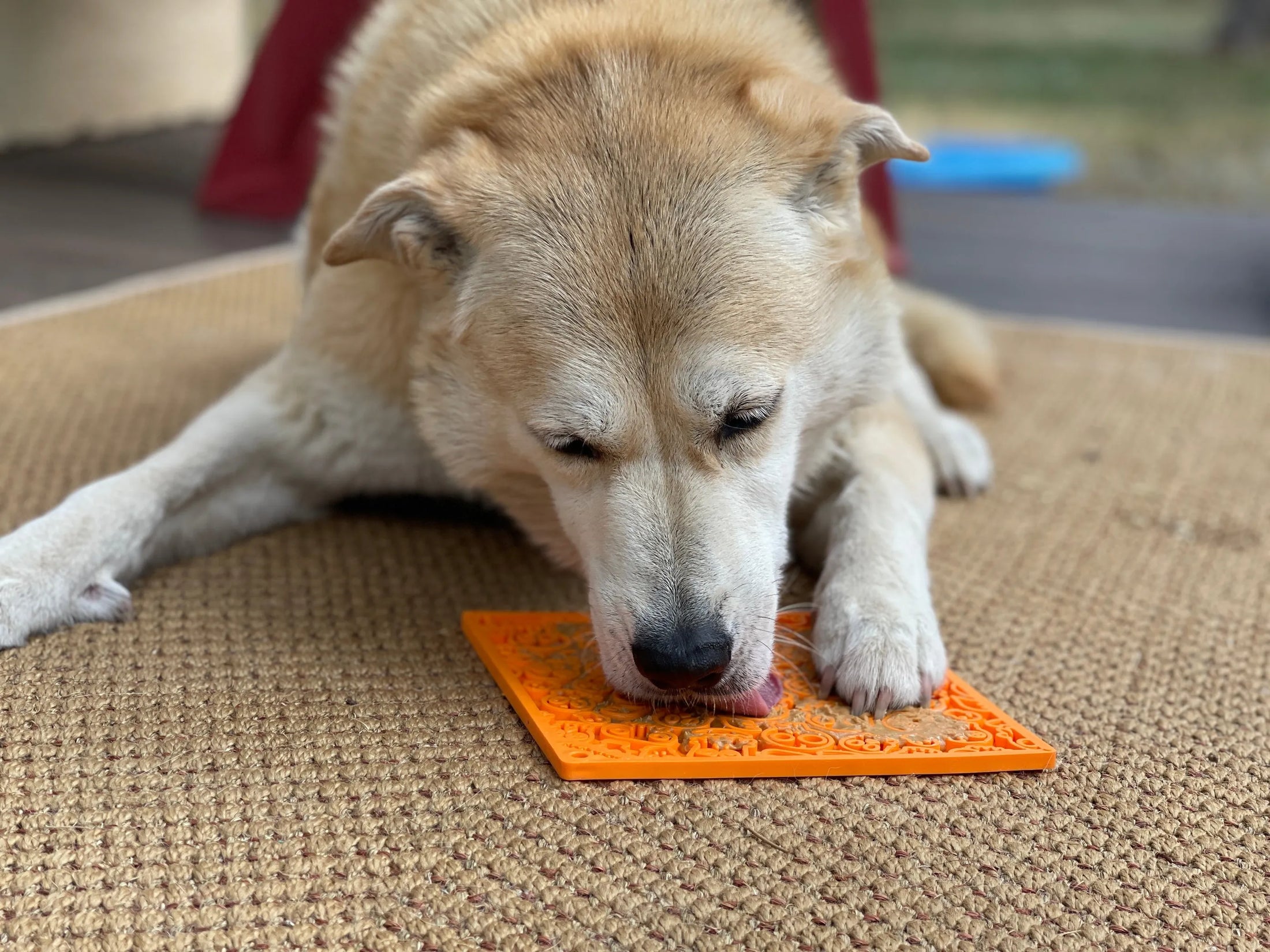 Enrichment Lick Mat for Dogs – Calming, Durable & Easy to Clean