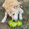 Load image into Gallery viewer, Dog Enrichment eTray – Water Frog Design
