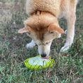 Load image into Gallery viewer, Dog Enrichment eTray – Water Frog Design
